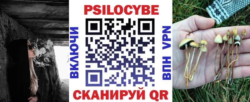 Галлюциногенные грибы мицелий  Туран 